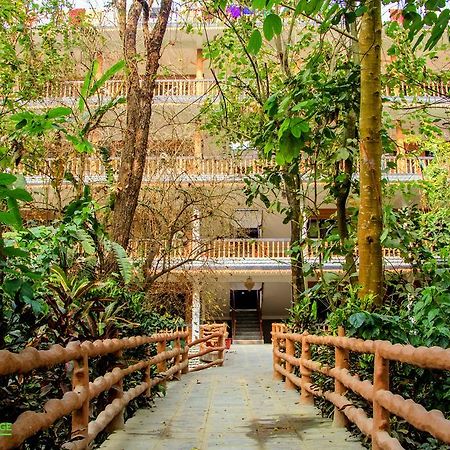 Chitwan Gaida Lodge 索拉哈 外观 照片