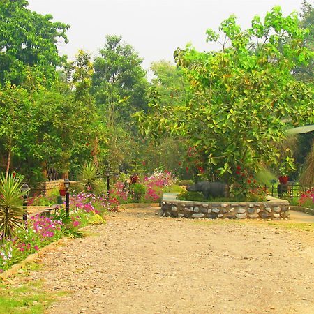 Chitwan Gaida Lodge 索拉哈 外观 照片