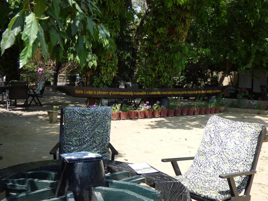 Chitwan Gaida Lodge 索拉哈 外观 照片
