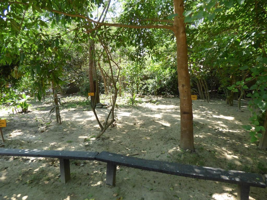 Chitwan Gaida Lodge 索拉哈 外观 照片