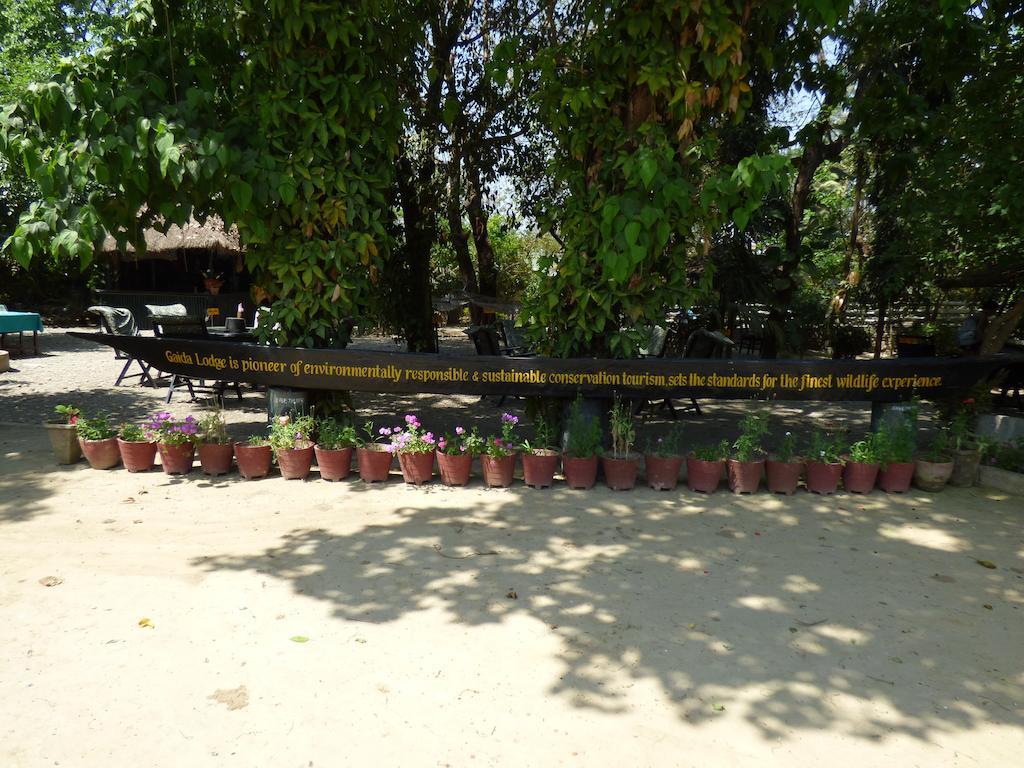 Chitwan Gaida Lodge 索拉哈 外观 照片