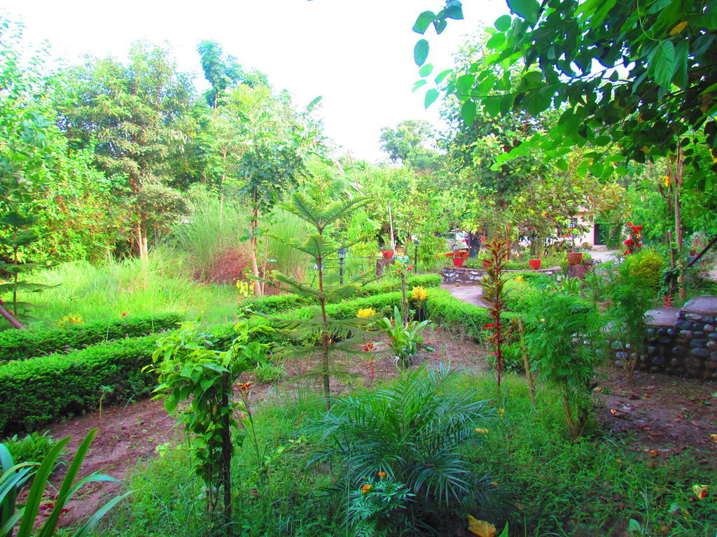 Chitwan Gaida Lodge 索拉哈 外观 照片