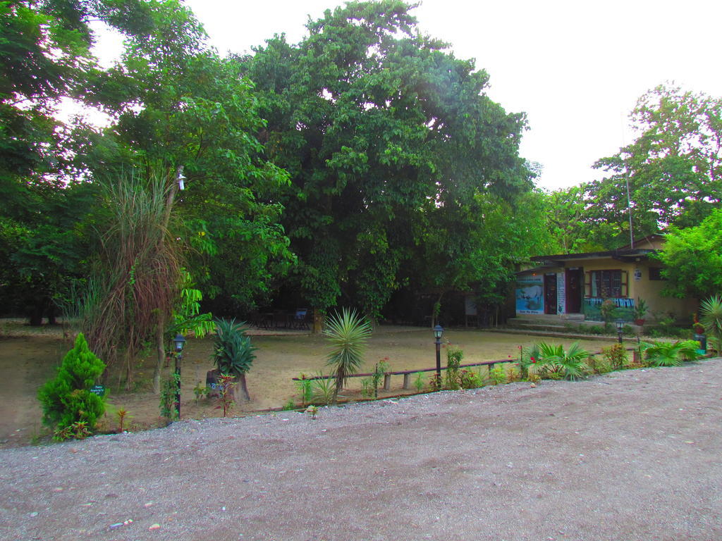 Chitwan Gaida Lodge 索拉哈 外观 照片