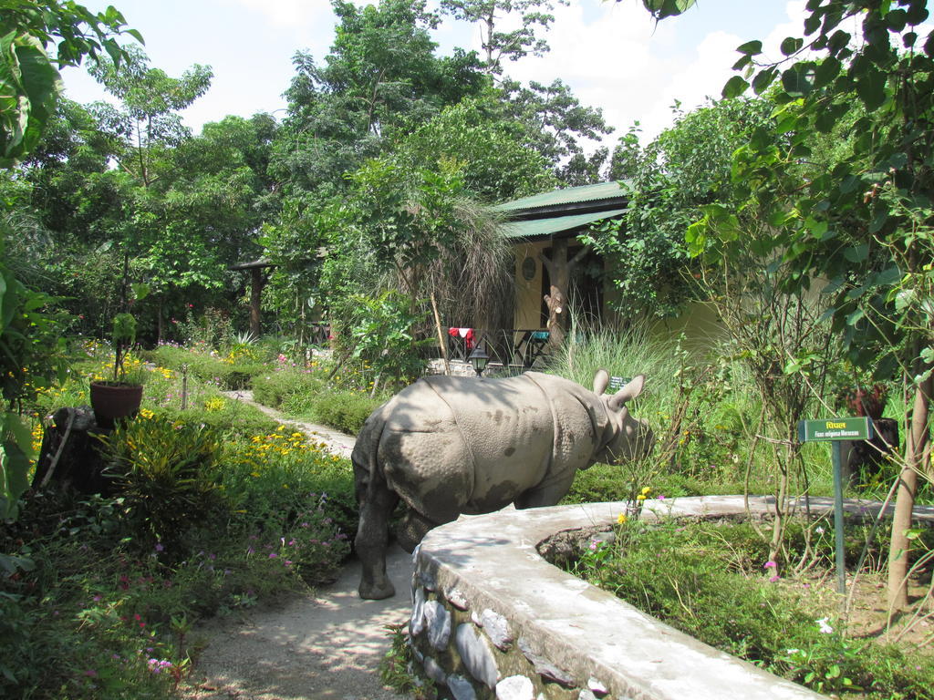 Chitwan Gaida Lodge 索拉哈 外观 照片