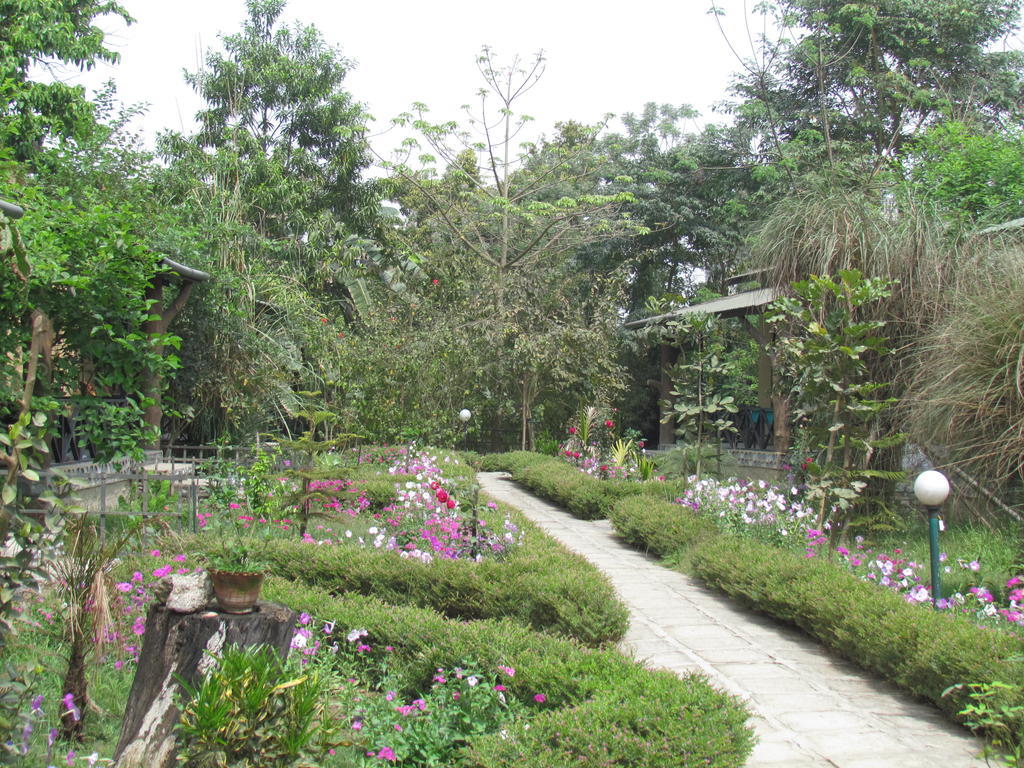 Chitwan Gaida Lodge 索拉哈 外观 照片