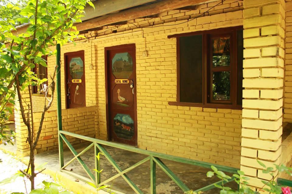 Chitwan Gaida Lodge 索拉哈 外观 照片
