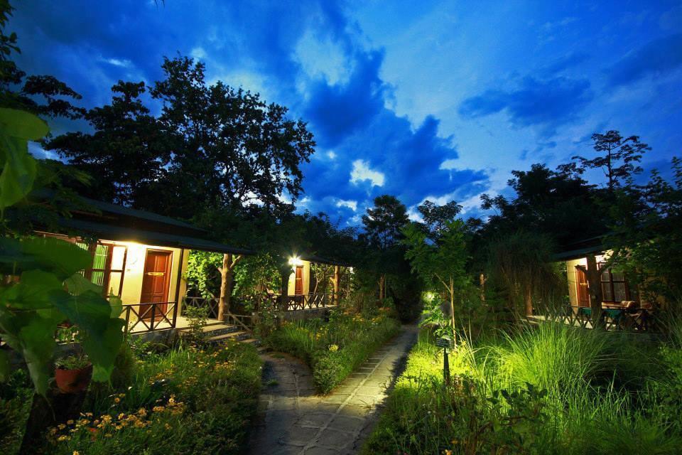Chitwan Gaida Lodge 索拉哈 外观 照片