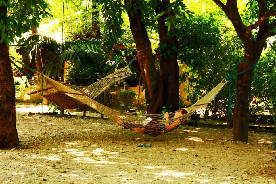Chitwan Gaida Lodge 索拉哈 外观 照片