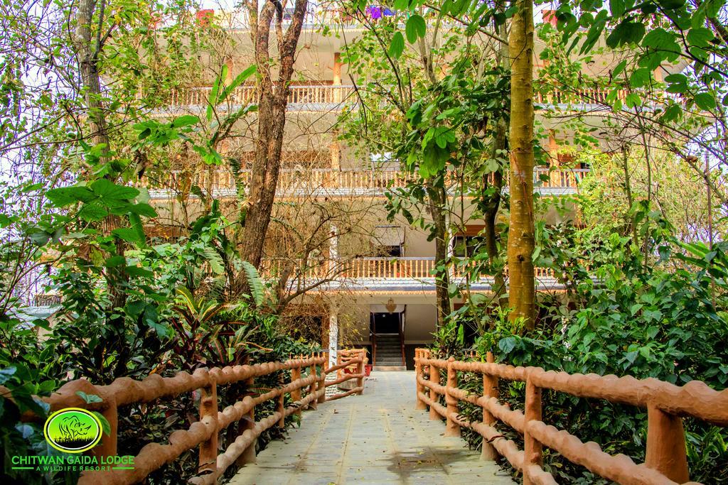 Chitwan Gaida Lodge 索拉哈 外观 照片