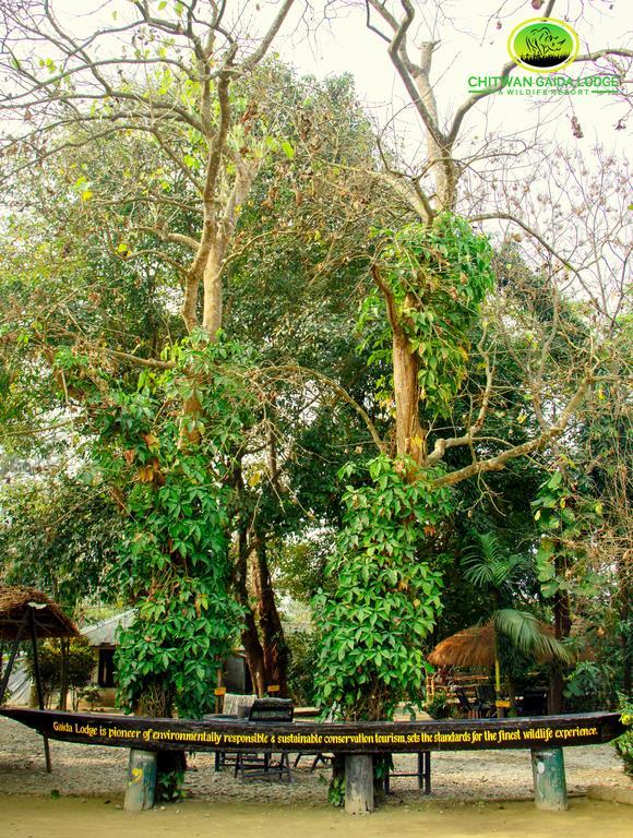 Chitwan Gaida Lodge 索拉哈 外观 照片