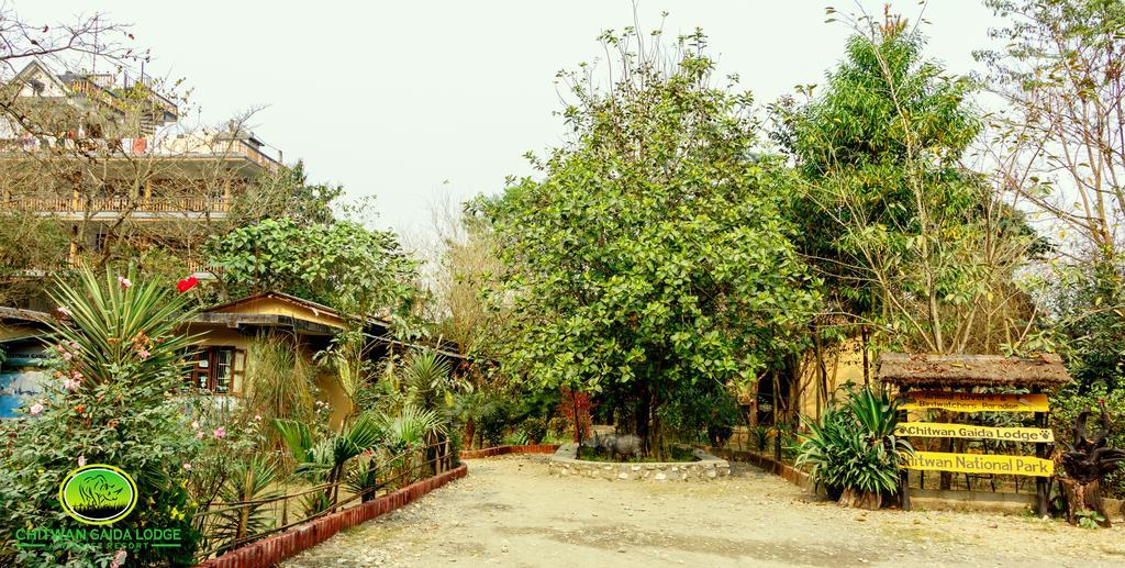 Chitwan Gaida Lodge 索拉哈 外观 照片