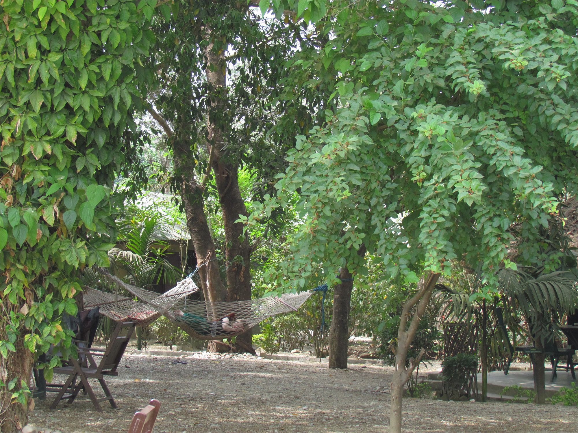 Chitwan Gaida Lodge 索拉哈 外观 照片