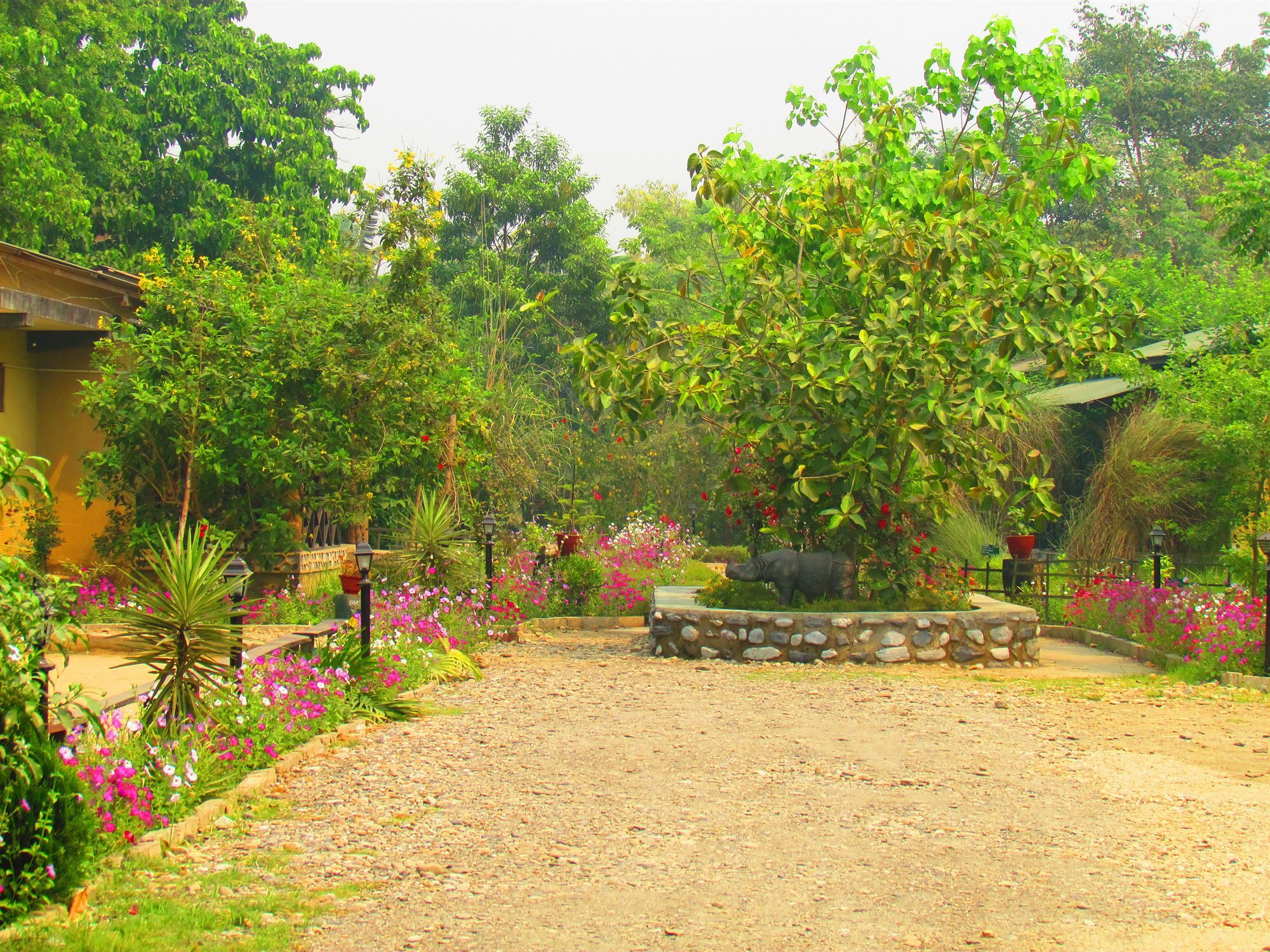 Chitwan Gaida Lodge 索拉哈 外观 照片