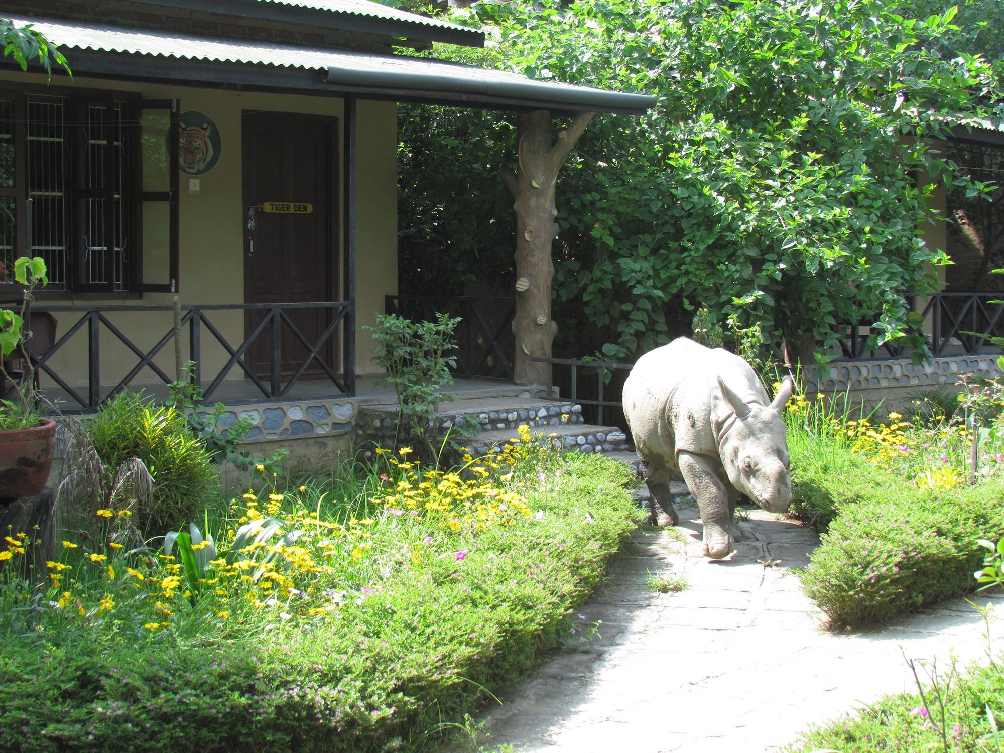 Chitwan Gaida Lodge 索拉哈 外观 照片